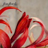 Bunga Amaryllis Plastik Buatan Tangan Realistis Modern Grosir oleh Fian Floral untuk Dekorasi Konser