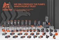 Pompe centrifuge auto-amorçante de surface OEM haute pression, haute qualité, grand débit, haute pression de refoulement, bobine 100% cuivre