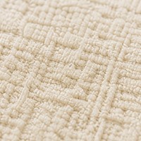 Tapis imperméable pour salon et chambre à coucher, couleur unie, nouveau, sans lavage, essuyable, en soie de diatomée de qualité supérieure, style crème, tapis de chevet