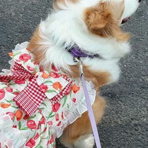 Vestido de Verano Estilo Princesa con Tulipanes para Perros Grandes (Corgis, Samoyeds, <span class=keywords><strong>Border</strong></span> Collies, Golden Retrievers y Más) - Product Image 2