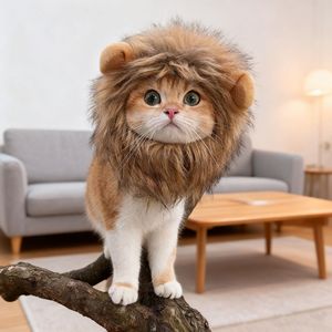 Haustier-Löwenmütze, Einfache Luxus-Wintermütze, Polyester-Haustierzubehör für Hunde und Katzen, Weihnachten - Product Image 4