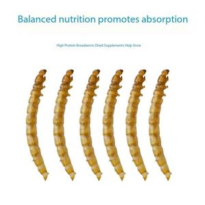 Китай, домашние чистые натуральные лучшие продажи сушеных мучных червей, сухие сублимированные мучные черви - Product Image 5