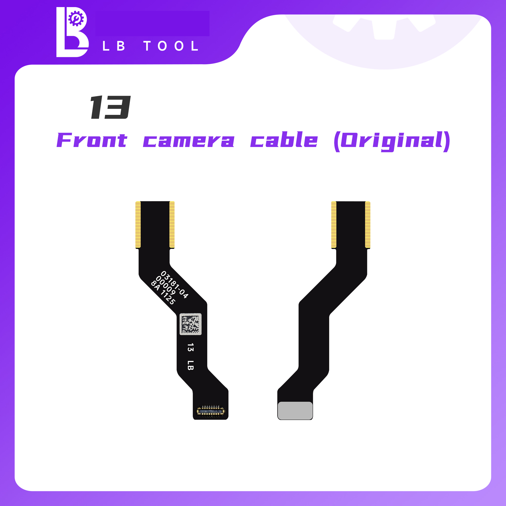 13