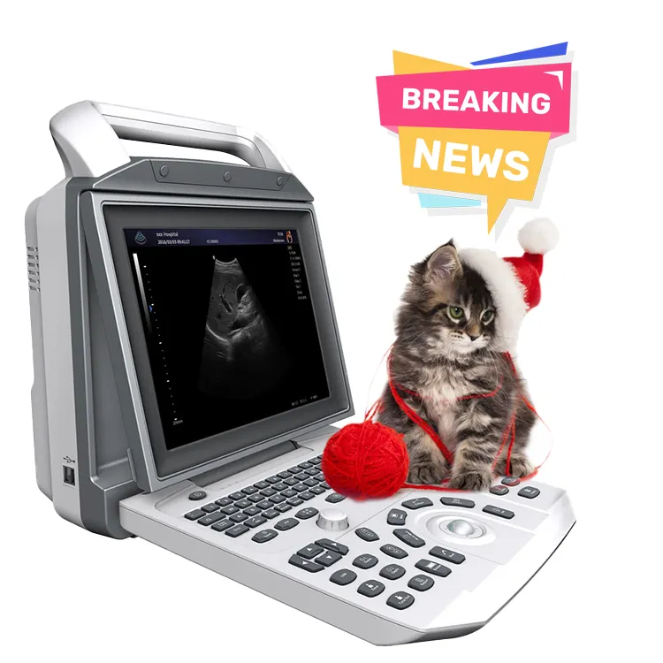 Ultrasound Medis Instrumen Portable Veterinary Ultrasound Scanner untuk Hewan Domba Sapi Anjing Ultrasonik
