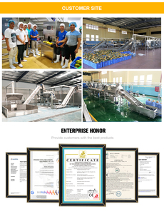 0.12-7.5 t/h Công Nghiệp Mơ niềm đam mê trái cây cà chua Rau Trái Cây bột giấy extractor Máy xoài máy làm nước trái cây - Product Image 4