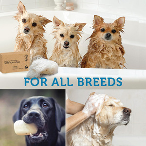 Kingtale Custom Pet Proveedores Accesorios para perros Champú natural para perros Jabón en barra - Product Image 4
