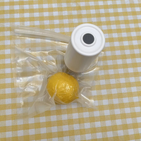 Pompe à vide électrique de cuisine USB en acier inoxydable mini-machine à sceller sous vide portable de petite taille pour la cuisson des aliments vente en gros