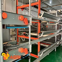 Système de cages automatiques en H pour poulets pondeurs, équipement d'élevage avicole pour fermes commerciales