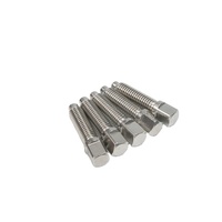 18-8 acier inoxydable A193 A914 B8 A453 A286 INOX SS AISI 304 316 316L A2 A4 70 80 vis de réglage carrées avec pointe de chien DIN479