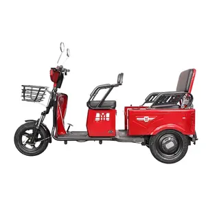 3 wheels e tricycles 48V/60V electric tricycle Tricycle electric bike 3 wheel battery with roof with strong tire for sale