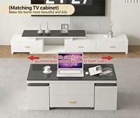Table basse moderne pliable en bois massif avec plateau relevable et support TV mobile pour petit salon