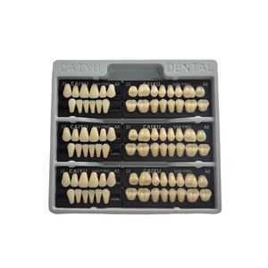 Caiyu Handmatige Stroombron Tand Valse Tanden Volledige <span class=keywords><strong>Set</strong></span> Twee Lagen Fabrieksprijs Acrylhars Tanden Van De Fabrikant - Product Image 4