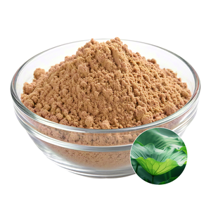 Высокое качество натуральный органический экстракт листьев лотоса порошок потеря веса 1% 2% 98% нуциферин - Product Image 2