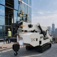 Mini-grue araignée hydraulique de 10 tonnes avec flèche télescopique, télécommande, certifiée ISO CE pour la construction et le levage