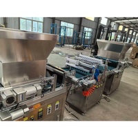 Semoir automatique à rouleaux pour plateaux de semis, haute efficacité, pour légumes, fleurs et semis de riz – Vente directe usine
