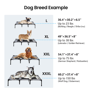 Durable <strong>Metal</strong> Frame Foldable Pet Elevated <strong>Dog</strong> <strong>Bed</strong> Breathable Outdoor Camping Washable Feature for Pet Feeding - Product Image 6