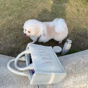 Bolso de mano de tela de felpa suave y cómodo, moda de otoño e invierno, nueva tendencia, bolso de mano para mujer, pequeño, portátil, para viajes y compras - Product Image 1