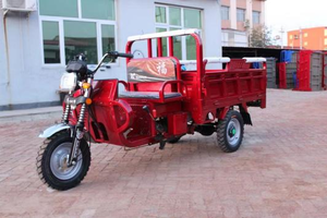 Triciclo de 200cc Más Vendido, Carro de Tres Ruedas con Carrocería Abierta/Cerrada para 2 Pasajeros - Product Image 3