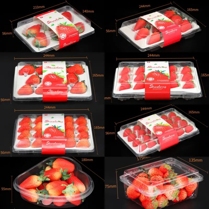 Fabricante Ecológico Clear PET Blister Box Fruits Plastic Container Concha Cajas de fresas Embalaje para supermercado