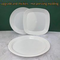 Vaisselle jetable au design moderne de 9 pouces, assiettes compostables biodégradables personnalisées pour les fêtes d'anniversaire