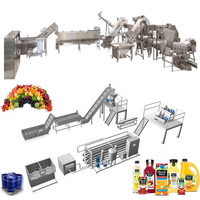 Professionele leverancier industriële volautomatische multifunctionele fruit sap volledige productielijn voor alle vruchten