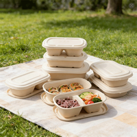 Boîte à lunch compostable en paille de blé avec couvercle, boîte bento jetable à 2 compartiments, récipient alimentaire écologique pour emporter