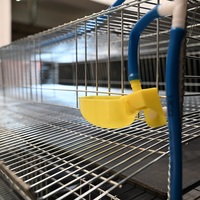 Système de cage à cailles à 6 niveaux pour usage commercial |   Cage à cailles en métal galvanisé haute capacité |   Équipement avicole professionnel