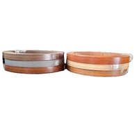 Bande de chantournage PVC ABS à performance stable, spécifications personnalisées pour la production continue en usine