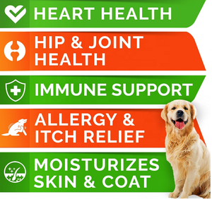 OEM/ODM kapsul minyak ikan Omega 3 dengan asam lemak EPA + DHA untuk anjing mengurangi penumpahan & gatal-mendukung sendi & otak & hati - Product Image 2