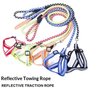Guinzaglio e Pettorina Imbottiti in Nylon Riflettente con Fibbie per Cani di Piccola e Media Taglia - Passeggiate Notturne - Product Image 1