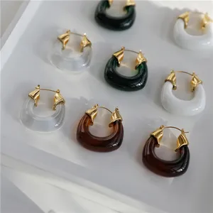 Chunky Clear Resin Tiger Eye Resin Hoop Earring Statement Stainless Steel Earring Big Earring Waterproof