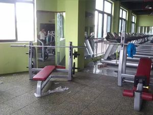 Attrezzatura commerciale eccellente della <span class=keywords><strong>palestra</strong></span> della seconda mano da vendere RUIBU-9006 della stampa di calo - Product Image 3