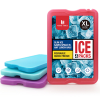 4 packs de glace réutilisables et non toxiques en plastique HDPE-rétention de froid longue durée pour les boîtes à lunch, la pêche et les pique-niques, colorés.