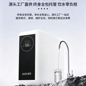 Hydrogen-rich reverse osmosis water purifier <b>filter</b> - Product Image 2