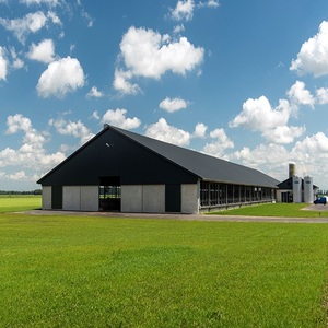 Struttura in Acciaio Leggero per Stalla di Mucche con Caratteristiche Anti-Corrosione e Antiruggine, Moderna <span class=keywords><strong>RT</strong></span> con Garanzia di 1 Anno - Product Image 3