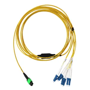 FTTH 100G 9/125 SM 8 12 24 Core Fiber Optic Jumper Cable 3 5 10m Om4 Mpo-LC fiber Patch Cord