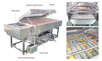 Parallelle borstelrol wasmachine voor tomaten, courgettes, komkommers, aubergines, aardappelen en wortelen.