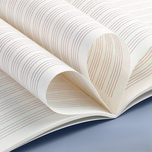 Libro <span class=keywords><strong>de</strong></span> práctica <span class=keywords><strong>de</strong></span> escritura <span class=keywords><strong>de</strong></span> posicionamiento <span class=keywords><strong>de</strong></span> tres rejillas <span class=keywords><strong>de</strong></span> cuatro líneas gruesas grandes <span class=keywords><strong>de</strong></span> 16K, cuaderno <span class=keywords><strong>de</strong></span> <span class=keywords><strong>tareas</strong></span> en inglés, papel <span class=keywords><strong>de</strong></span> palabra, Impresión <span class=keywords><strong>de</strong></span> cartón - Product Image 5