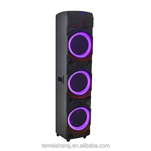 Temeisheng Speaker Karaoke 10 inci TMS-1036 lampu tanam sistem suara aktif pertunjukan gema Speaker bertenaga DJ
