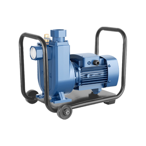 OEM Self Priming Centrifugal <b>Water</b> <b>Pump</b> 2.2kW 3kW for Industrial <b>Water</b> Transfer Irrigation and Commercial Applications - Product Image 1