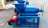 Professionele Afrikaanse fabrieksmachine voor het persen van rode palmolie, palmvruchtenoliepers, oliewinmachine