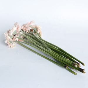 <span class=keywords><strong>Yunan</strong></span> ดอกลิลลี่สีชมพูสำหรับตกแต่งงานแต่งงาน,ดอกเยอบีร่าสดใหม่ส่งตรงจากโรงงานสำหรับตกแต่งงานเลี้ยงที่บ้าน - Product Image 6