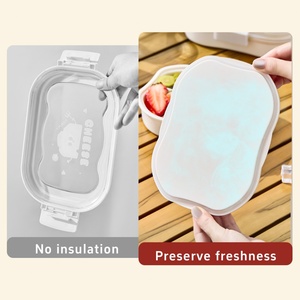 Support OEM Fruit Keeper with <b>Insulated</b> <b>Lunch</b> <b>Box</b> Plastic Leak Proof Portable Food Container for Fresh Berry Cherry Salad - Product Image 2