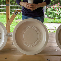 Assiette en papier ronde classique durable de 10 "en fibre végétale naturelle verte compostable et conviviale pour les fêtes en bambou