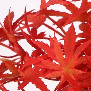 Más pequeña planta <span class=keywords><strong>de</strong></span> 3ft rojo artificial <span class=keywords><strong>de</strong></span> arce árbol bonsai para la venta - Product Image 3