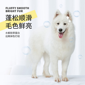 Champú de Aminoácidos 500 ml Multiusos Universal para Perros y Gatos - Product Image 2