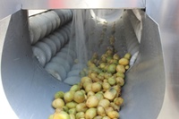 Multifunctionele Borstelrolmachines Voor Het Wassen En Schillen Van Aardappelen Groente Fruit Zoet Nieuw Product 2020 Verstrekt Wasfruit