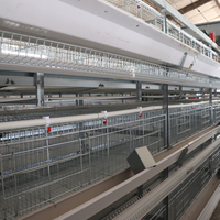 Équipement de cages à volailles de grande taille à bon prix avec systèmes de cages à volailles à alimentation automatique pour l'élevage de volailles moderne