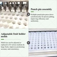 Abrikozen- en lychee-ontpitter, semi-automatische machine voor het scheiden van vruchtengoten, kersenontpitter, schil- en ontpittermachine, China