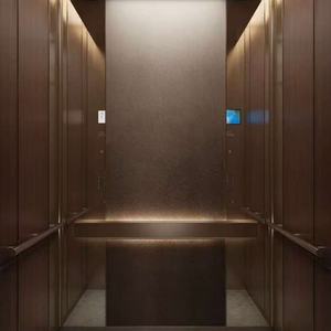 Small Family Elevator Low Price 3-10 Floors Passenger Elevators for Villa Custom Electric Home Lift Home Elevator Residential - Product Image 1